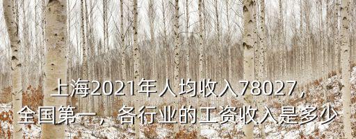 上海2021年人均收入78027，全國第一，各行業的工資收入是多少