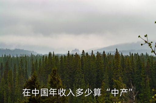 在中國年收入多少算“中產”