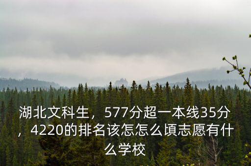 湖北文科生594分怎么填志愿,志愿該怎么填