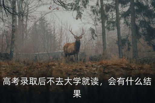 湖北高考錄取后不去會怎么樣,高考錄取后不去大學就讀