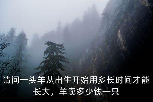 請問一頭羊從出生開始用多長時間才能長大，羊賣多少錢一只