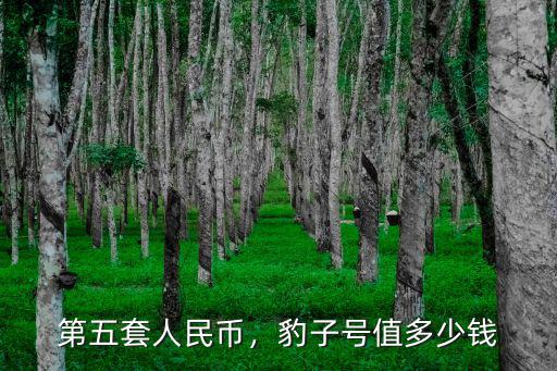 第五套人民幣，豹子號值多少錢