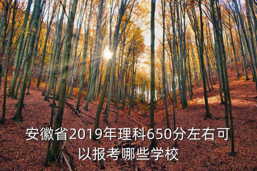 安徽省2019年理科650分左右可以報考哪些學校