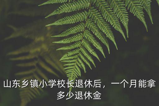 山東鄉(xiāng)鎮(zhèn)小學(xué)校長(zhǎng)退休后，一個(gè)月能拿多少退休金