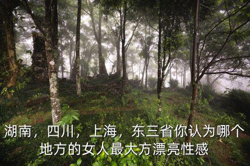 湖南，四川，上海，東三省你認(rèn)為哪個(gè)地方的女人最大方漂亮性感