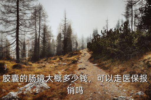 膠囊的腸鏡大概多少錢，可以走醫保報銷嗎