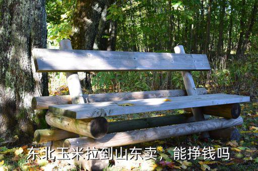 東北到荊州玉米怎么運輸,東北玉米拉到山東賣