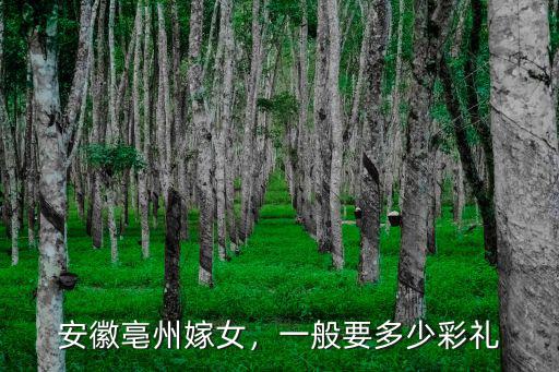安徽北邊彩禮多少錢(qián),安徽淮北市結(jié)婚彩禮錢(qián)是多少