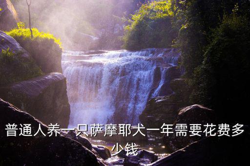 薩摩耶宿州市多少錢,純種薩摩耶多少錢