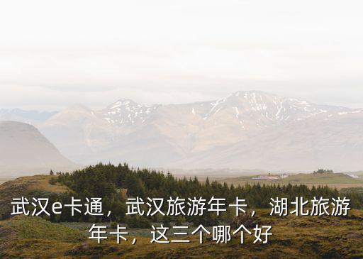 湖北一碼游旅游年卡怎么辦,湖北旅游年卡