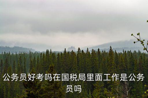 公務員好考嗎在國稅局里面工作是公務員嗎