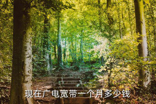 現(xiàn)在的河北廣電有多少臺,現(xiàn)在廣電寬帶一個(gè)月多少錢