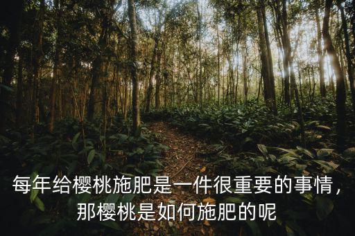盛果期的櫻桃每棵應(yīng)施多少?gòu)?fù)合肥,盛果期每棵桃樹(shù)施多少?gòu)?fù)合肥