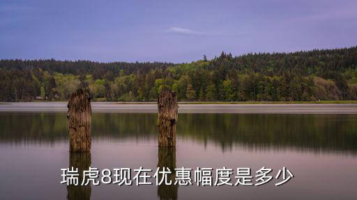 瑞虎8現在優惠幅度是多少