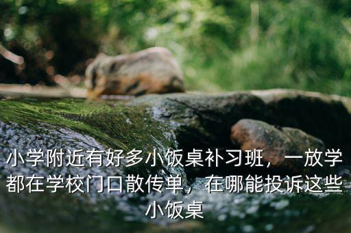 小學(xué)附近有好多小飯桌補(bǔ)習(xí)班，一放學(xué)都在學(xué)校門口散傳單，在哪能投訴這些小飯桌