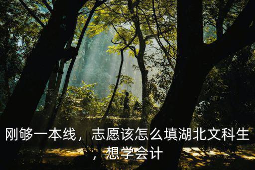 剛夠一本線，志愿該怎么填湖北文科生，想學會計