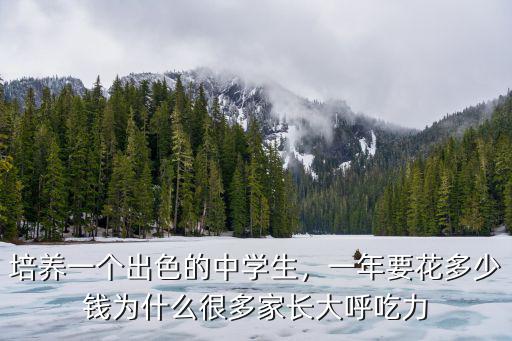 新宣城中學(xué)花了多少錢,宣城中學(xué)怎么樣