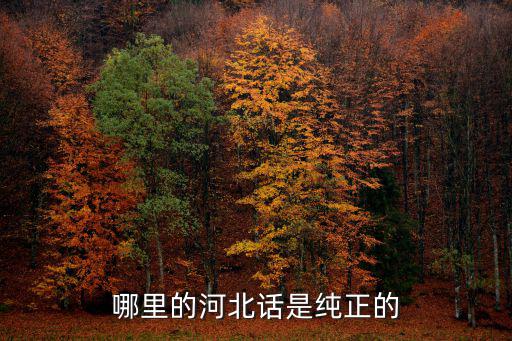 河北的村方言有多少種,有的同省的農村的方言不一樣