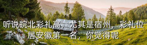 安徽蕭縣汪家村彩禮多少錢,安徽宿州的彩禮錢有多高