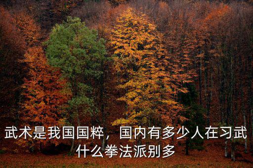 武術是我國國粹，國內有多少人在習武什么拳法派別多