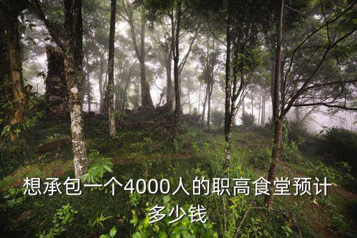 想承包一個(gè)4000人的職高食堂預(yù)計(jì)多少錢