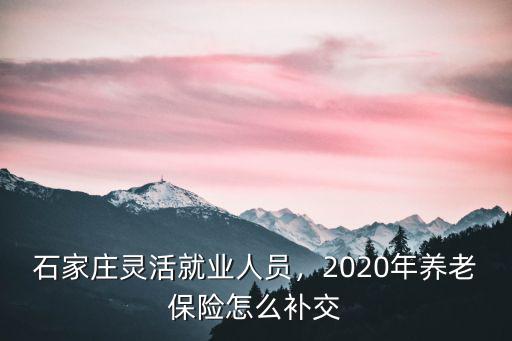 2020年靈活就業養老保險交多少河北,2020年養老保險怎么補交
