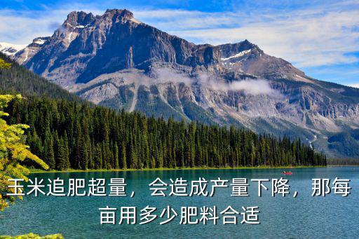 玉米追肥超量，會(huì)造成產(chǎn)量下降，那每畝用多少肥料合適