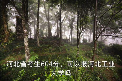 河北省考生604分，可以報河北工業大學嗎