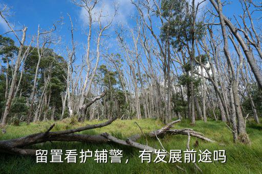馬鞍山市留置看護輔警工資多少錢,留置看護輔警