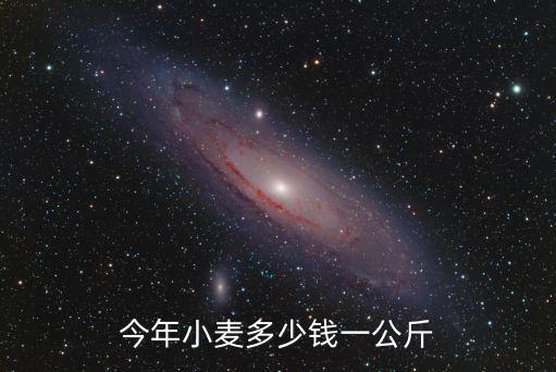 安徽泗縣山頭小麥多少錢1斤,今年小麥多少錢一公斤