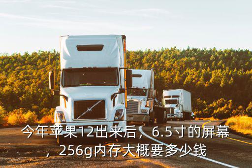 六安蘋果12多少錢,256g內存大概要多少錢
