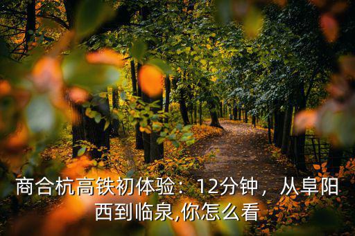 臨泉高鐵站到阜陽西站多少錢,從阜陽西到臨泉