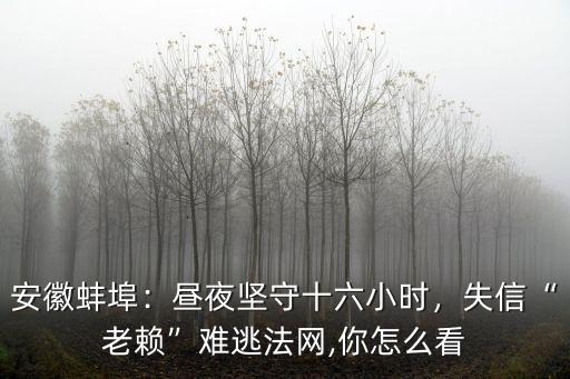 蚌埠老賴榜有多少,失信老賴難逃法網(wǎng)
