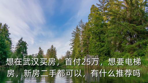 只有20萬怎么在武漢買房,想在武漢買房