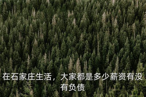 在石家莊生活，大家都是多少薪資有沒有負(fù)債