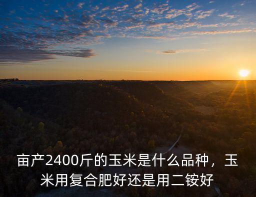 種玉米復(fù)合肥料用多少含量的好,山西種玉米用什么復(fù)合肥好
