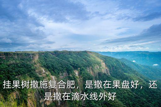 一顆果樹撒多少復合肥,掛果樹撒施復合肥
