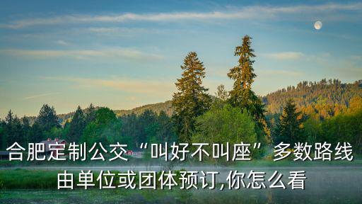 合肥定制公交“叫好不叫座”多數(shù)路線由單位或團(tuán)體預(yù)訂,你怎么看