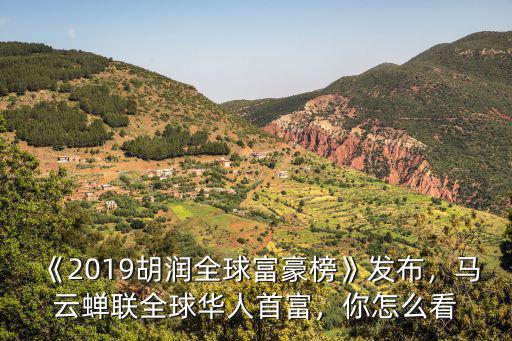 2019胡潤富豪榜合肥有多少人,2019胡潤富豪榜中