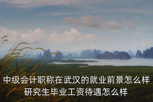 武漢施耐德會計待遇怎么樣,武漢會計工資低