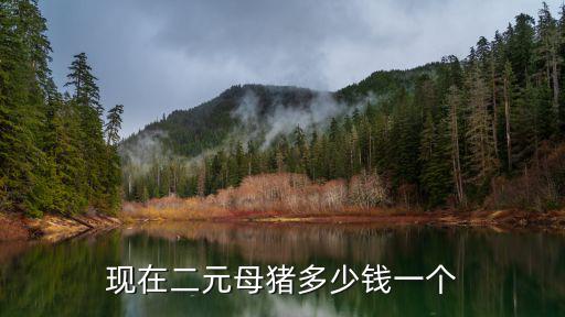 商丘母豬價格是多少錢,養(yǎng)100頭母豬大概多少錢