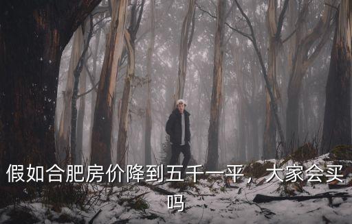 假如合肥房價(jià)降到五千一平，大家會買嗎