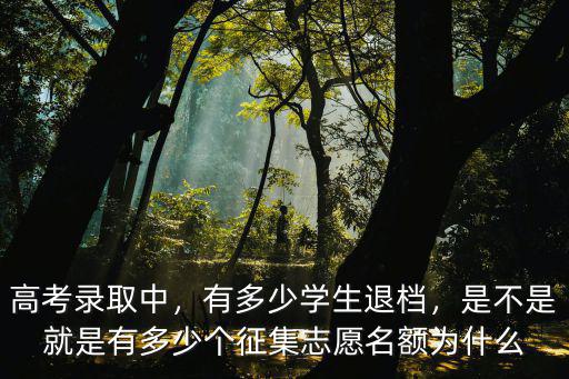 高考錄取中，有多少學生退檔，是不是就是有多少個征集志愿名額為什么