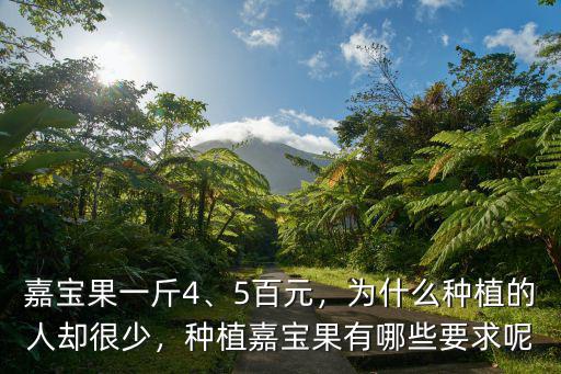 四川哪里有賣嘉寶果,種植嘉寶果有哪些要求呢
