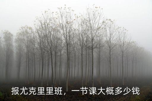 石家莊尤克里里一節(jié)課多少錢,一節(jié)課大概多少錢