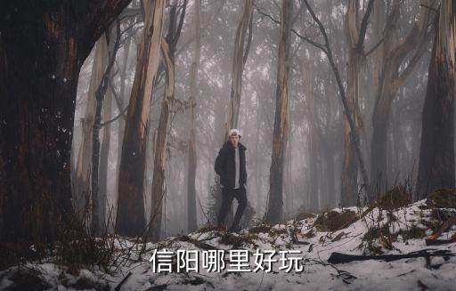 信陽(yáng)市哪里有過(guò)山車玩,信陽(yáng)下雨天適合去哪里玩