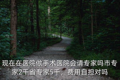 合肥請專家去太湖做手術多少錢,近視眼做手術需要多少錢