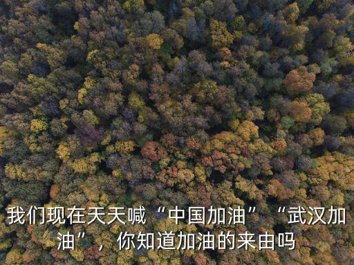 我們現(xiàn)在天天喊“中國(guó)加油”“武漢加油”，你知道加油的來(lái)由嗎