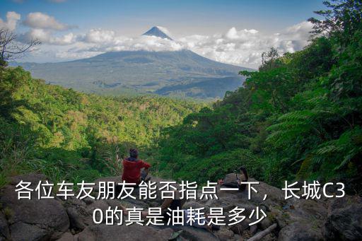 各位車友朋友能否指點一下，長城C30的真是油耗是多少