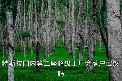 特斯拉國內(nèi)第二座超級工廠會(huì)落戶武漢嗎